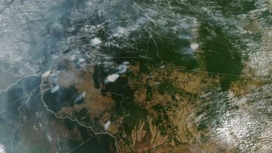 Vista aérea del incendio en el Amazonas
