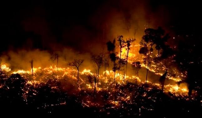 La Amazonia está muriendo, su ecosistema se ha devastado tras dos semanas de extensos incendios