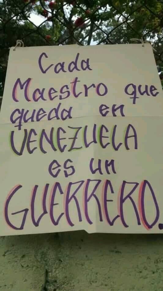 Docentes Guerreros
