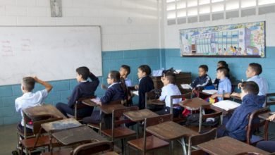 Año escolar 2019