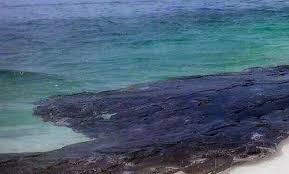 Derrame de petróleo en las playas de Morrocoy