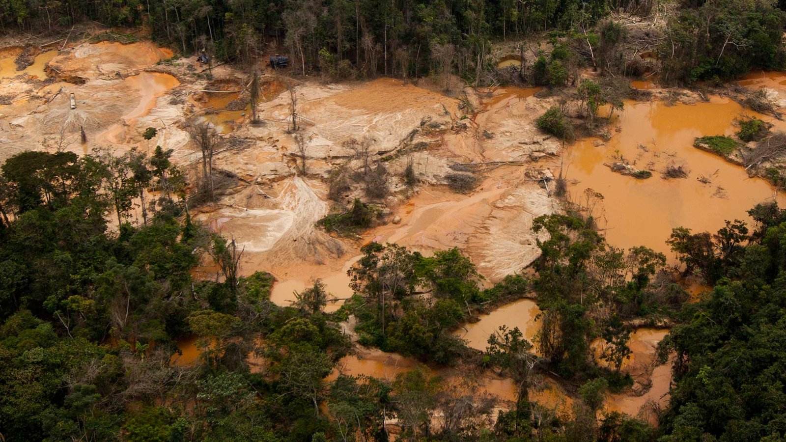 La devastación de la selva amazónica a manos de la minería ilegal ha dejado una profunda huella en la naturaleza